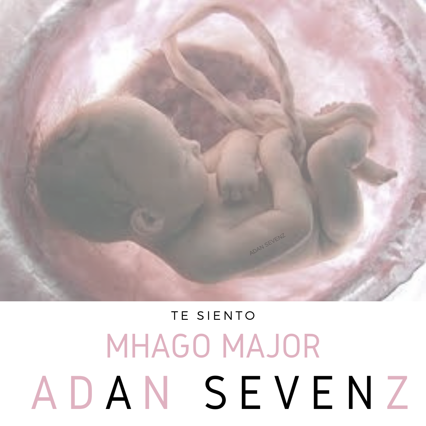 Bebé gestándose.
Bebé tatuado con su Nombre " ADAN SEVENZ"